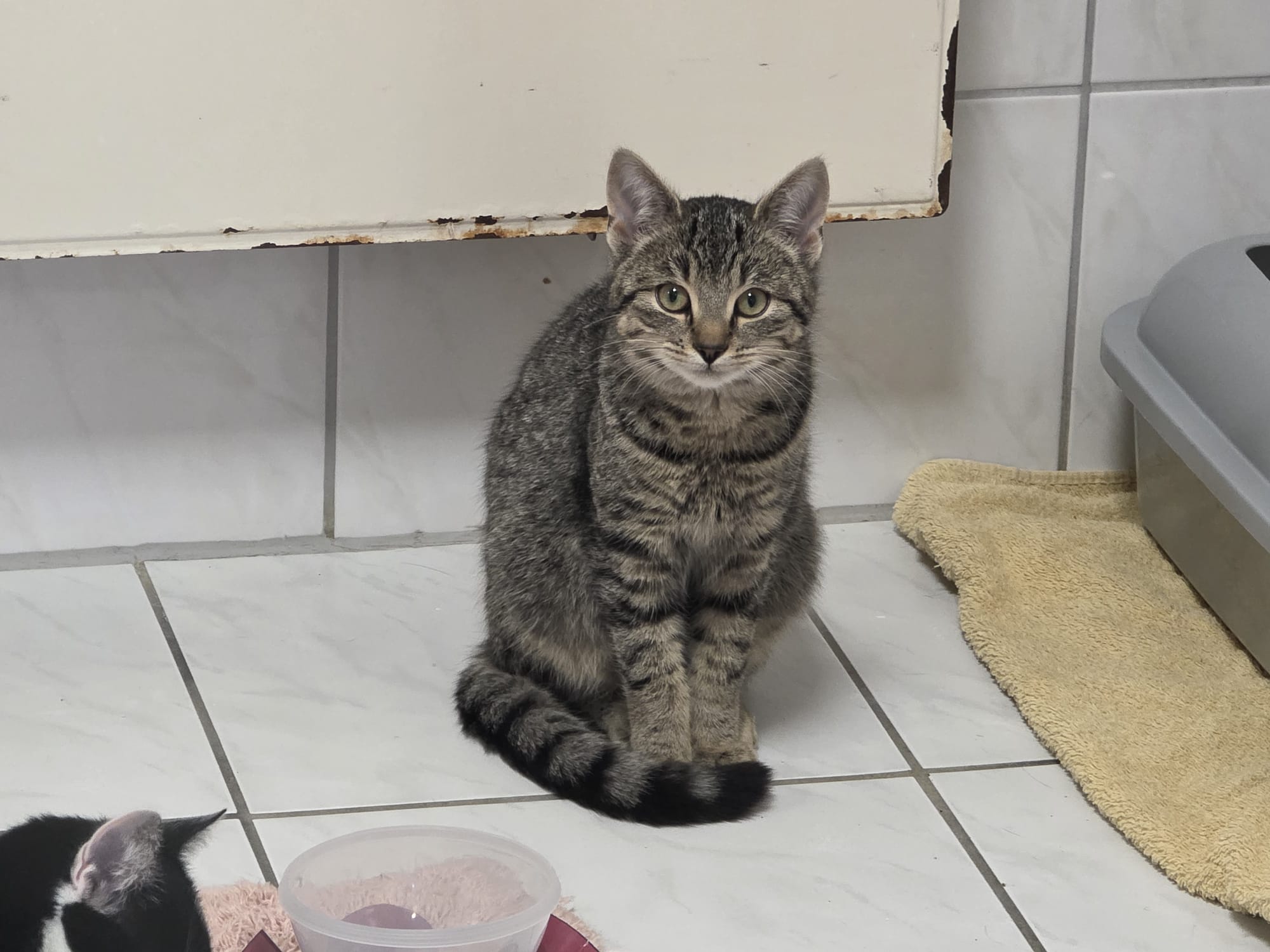 WhatsApp Image 2025-11-05 at 16.01.46.jpeg